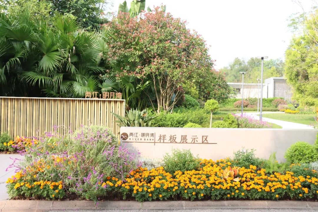 微信圖片_20241122092525.jpg