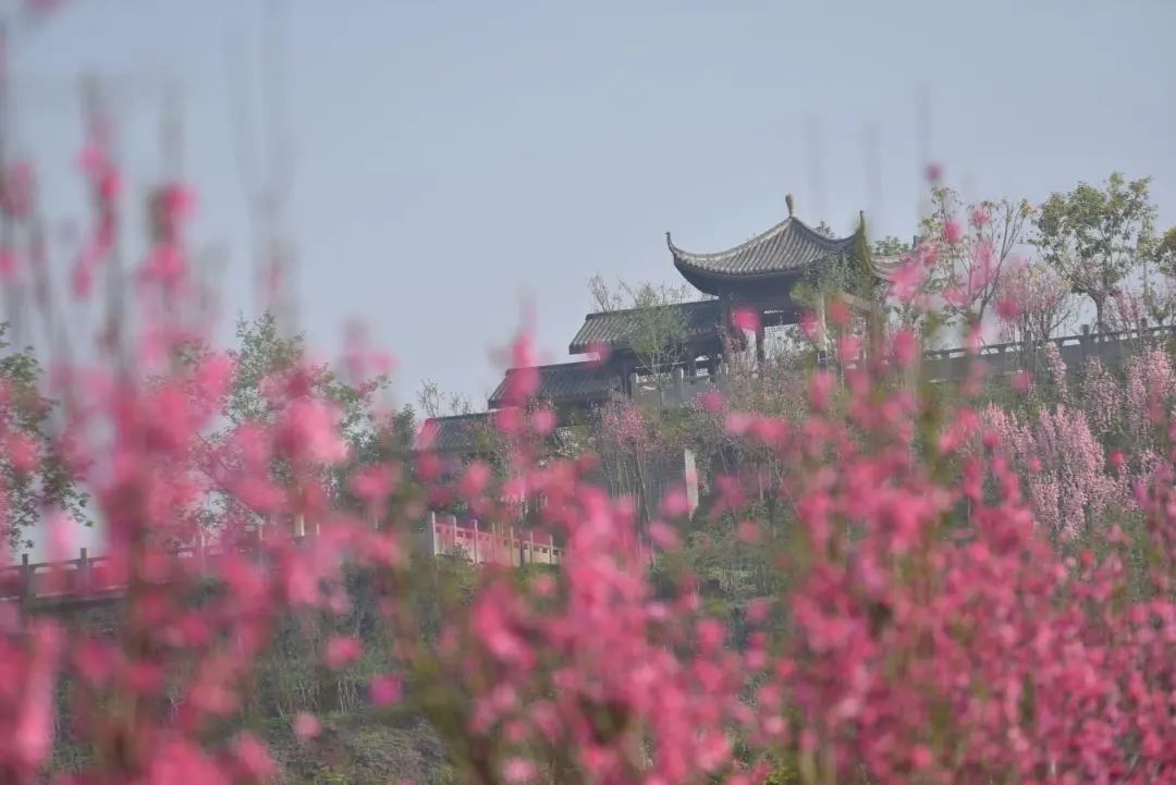 微信圖片_20250331092817.jpg