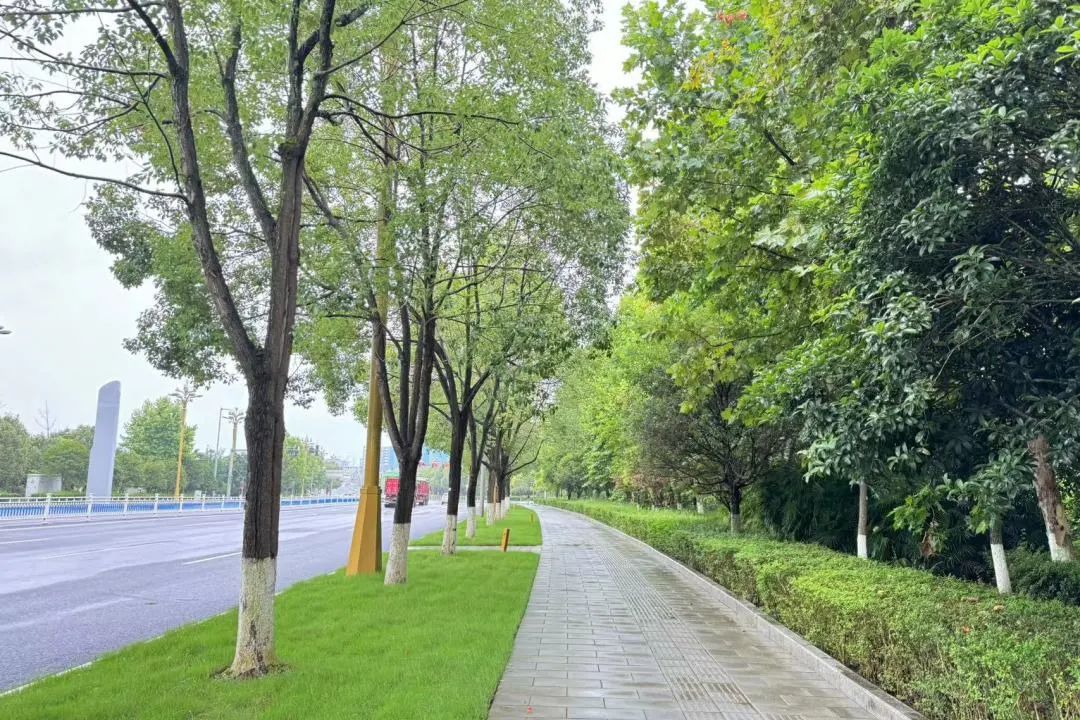 微信圖片_20250616120929.jpg