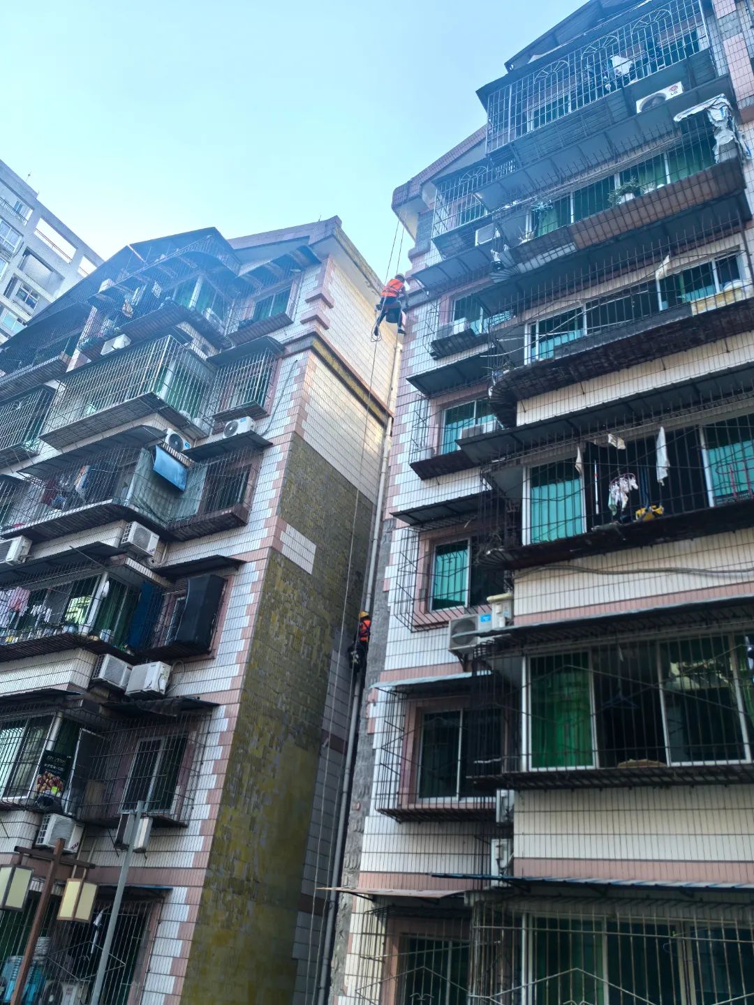 微信圖片_20250624091300.jpg